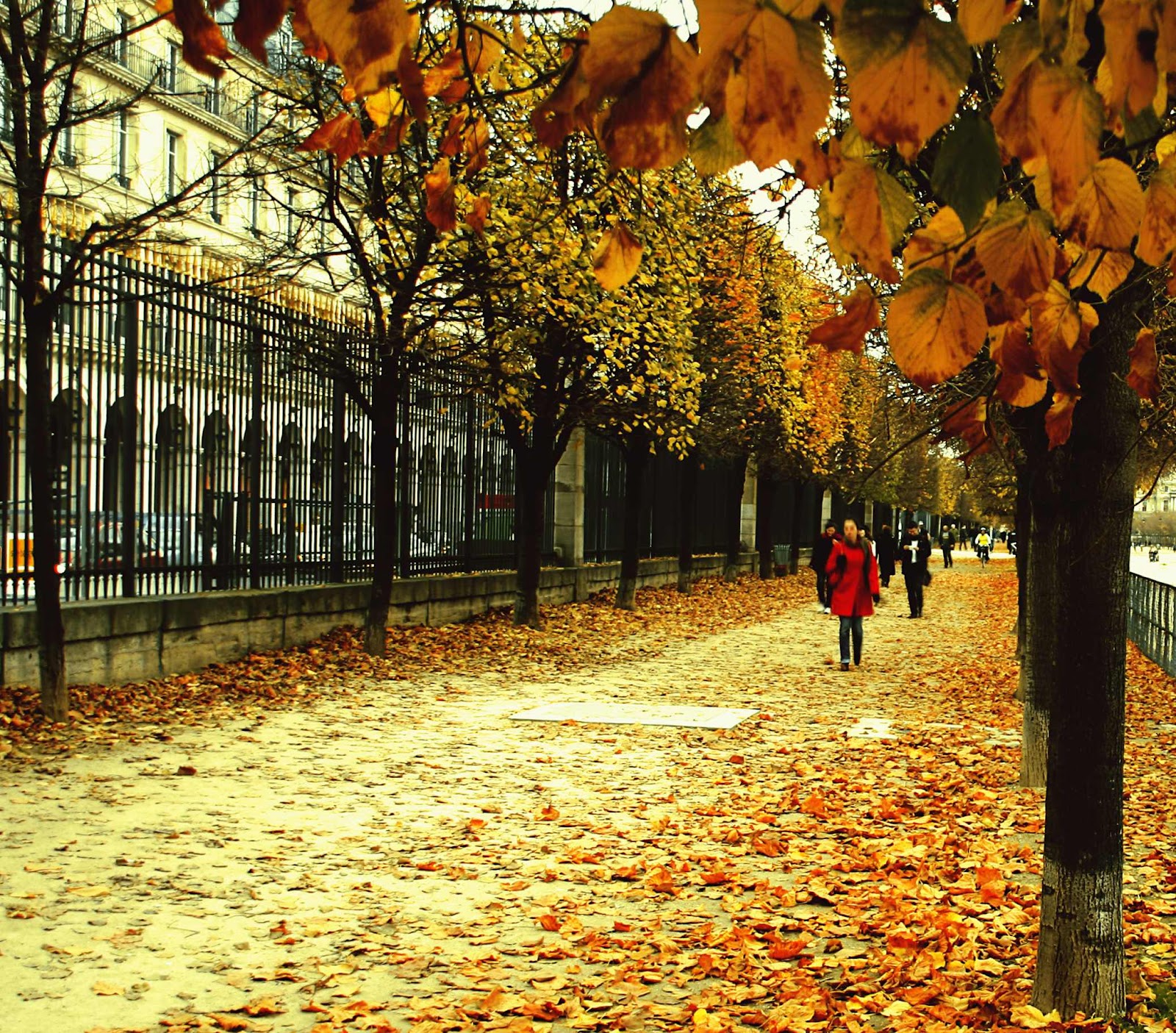 until leaves fall in paris