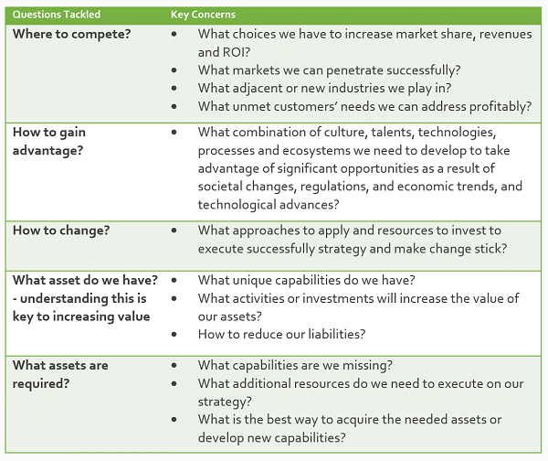 Strategy Advisory - Vicendi Consulting